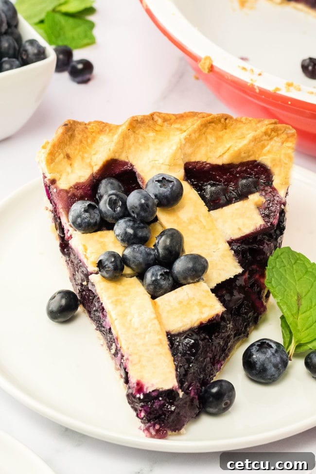 A slice of freshly baked blueberry pie on a white plate with a scattering of fresh blueberries.