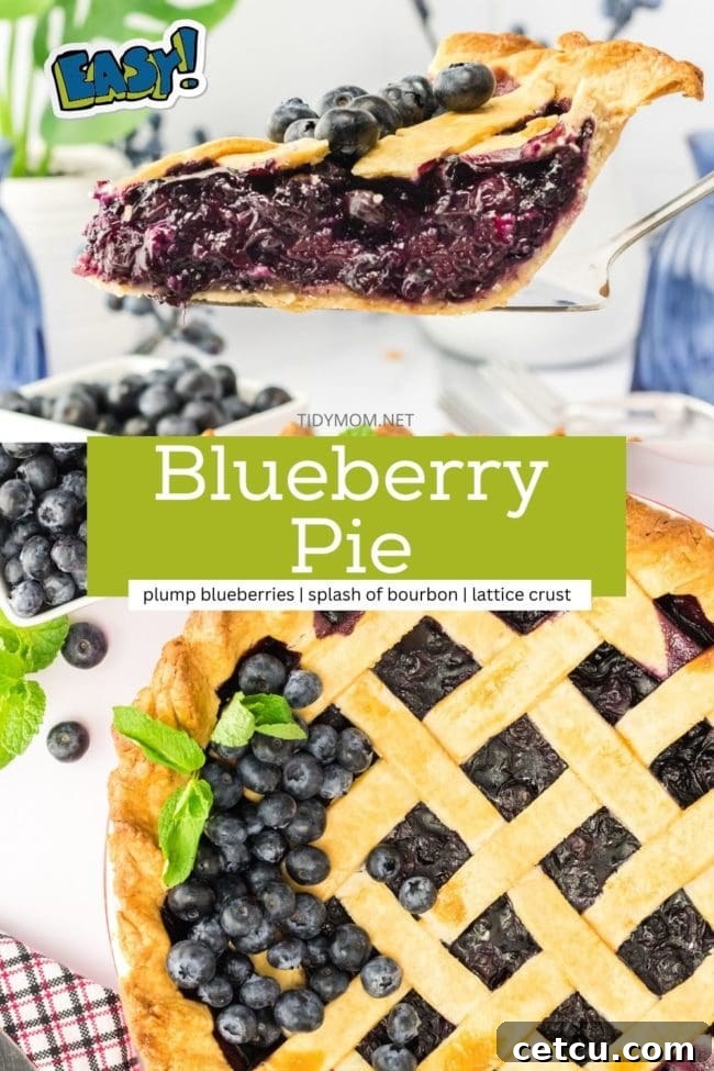 A photo collage featuring various beautiful shots of the homemade blueberry pie.