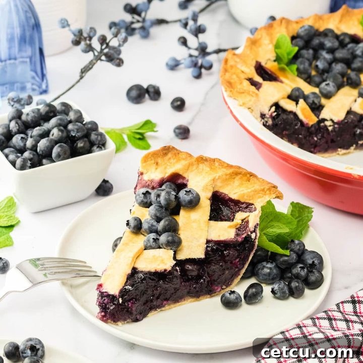 A slice of baked blueberry pie on a white plate with fresh blueberries and the pie dish in the background