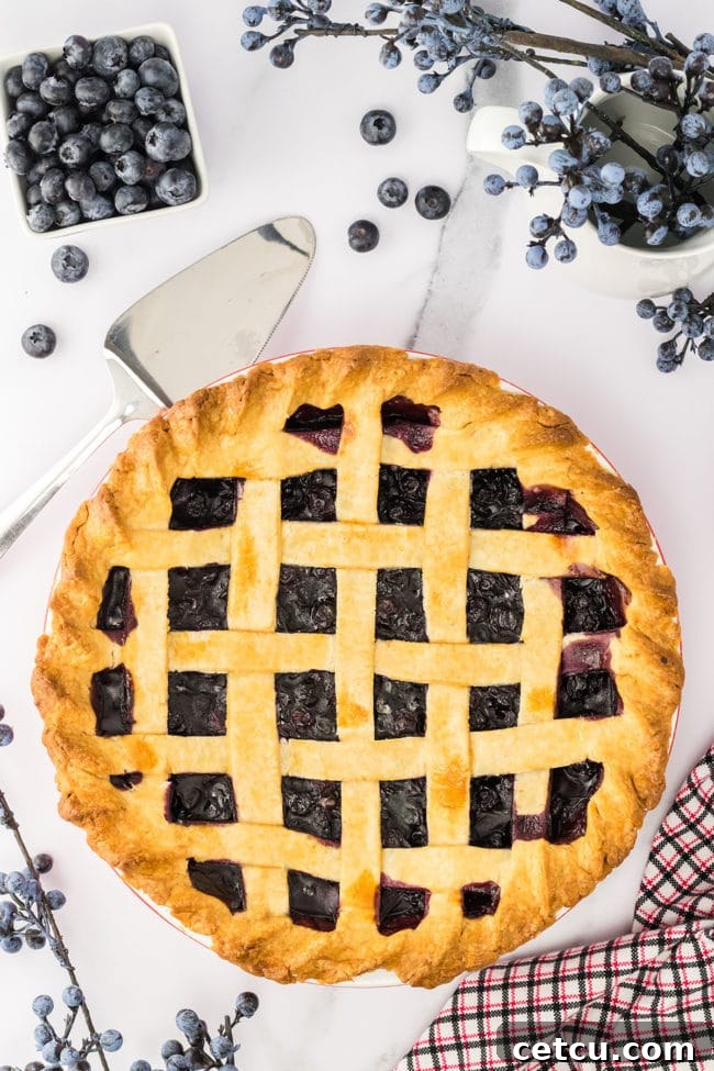 Step five: A freshly baked blueberry pie with a golden lattice crust, cooling, with fresh blueberries scattered nearby.