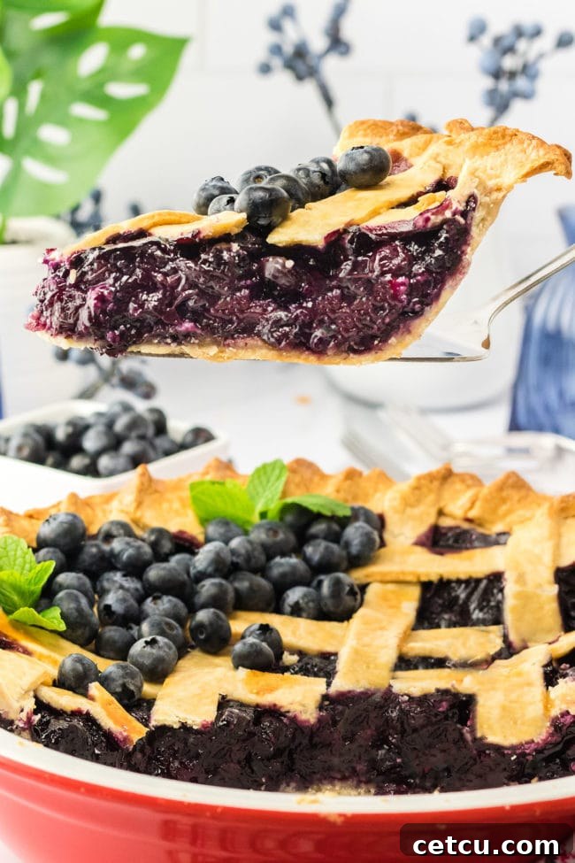 A perfect slice of blueberry pie, showcasing the juicy filling and flaky lattice crust, served on a pie server over the full pie plate.
