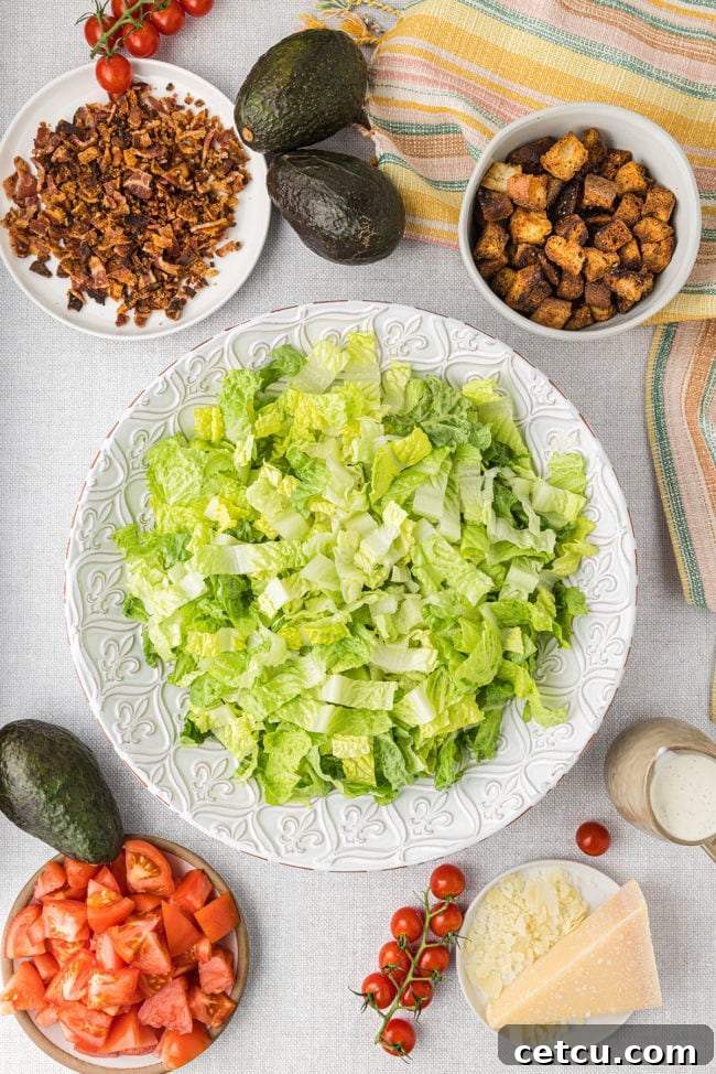 A bed of crisp shredded lettuce placed neatly on a plate, ready for the other salad ingredients.