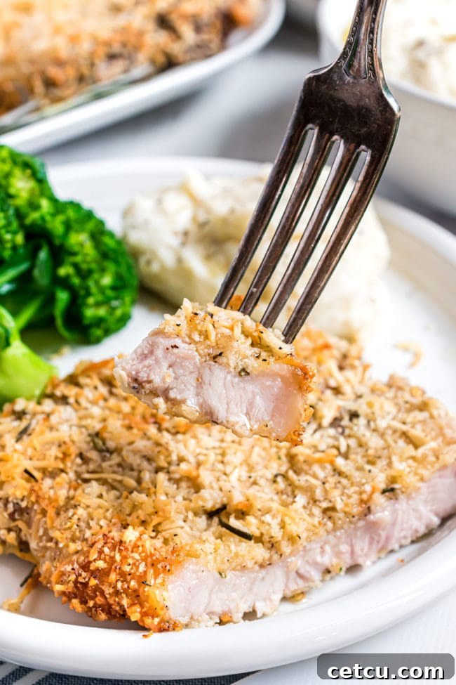 A close-up of a Parmesan crusted pork chop on a dinner plate, with a bite taken and a fork showing the juicy interior.