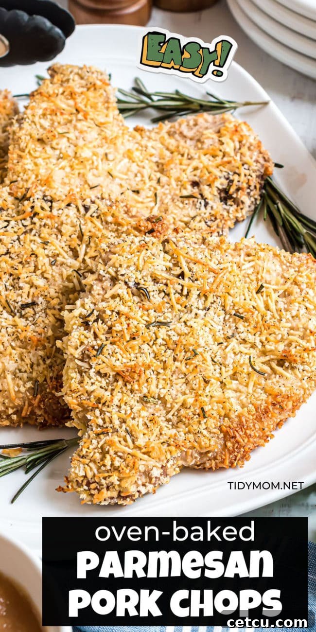 A stunning overhead shot of perfectly baked pork chops with a golden-brown panko and Parmesan crust, ready to be served.