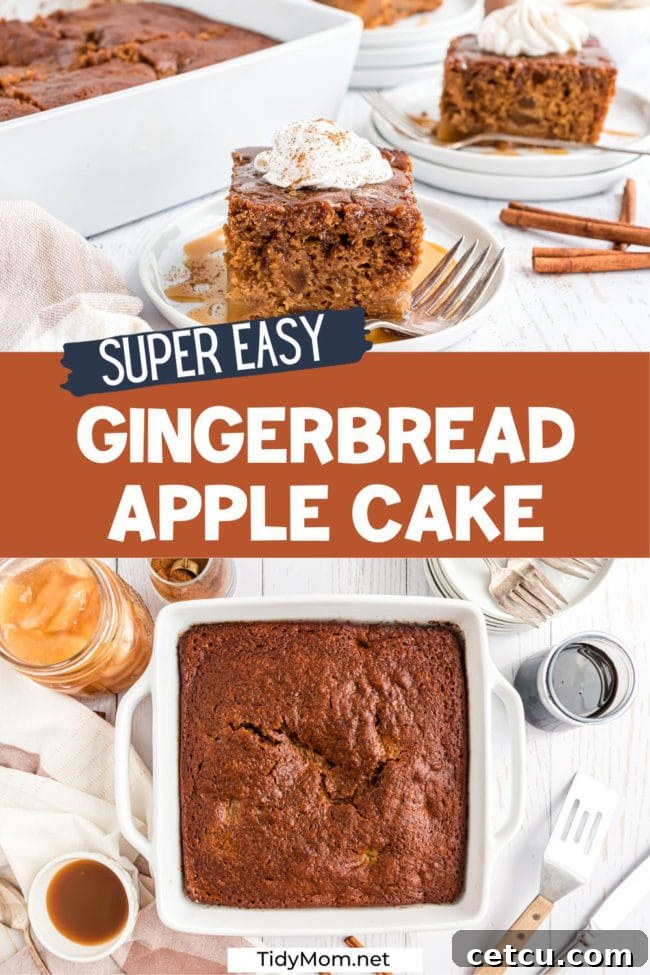 Spiced Apple Gingerbread Cake 12 A captivating photo collage showcasing various angles and close-ups of the finished apple gingerbread cake, highlighting its beautiful texture, toppings, and festive presentation.