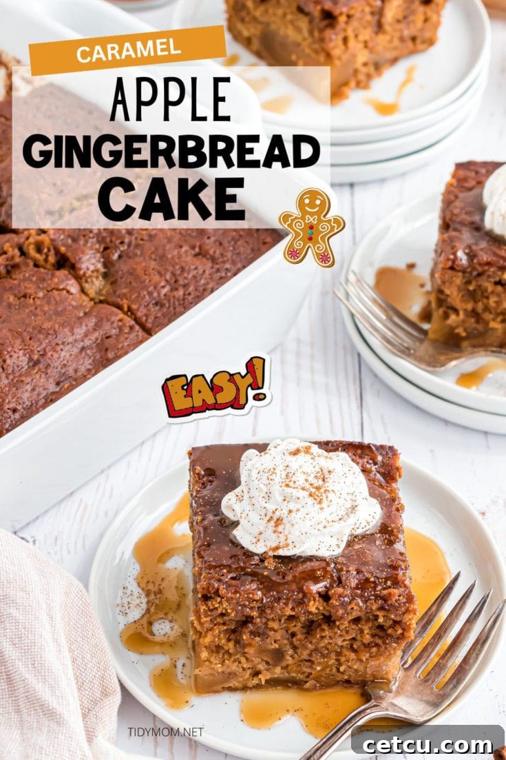 A stunning overhead image of a fully assembled Gingerbread Apple Cake, richly topped with whipped cream and caramel, making it an irresistible holiday dessert.