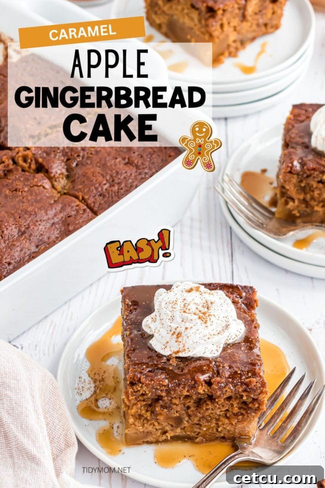 Spiced Apple Gingerbread Cake 15 A beautifully presented serving of apple gingerbread cake on a plate, accompanied by a fork, ready for tasting and enjoyment.