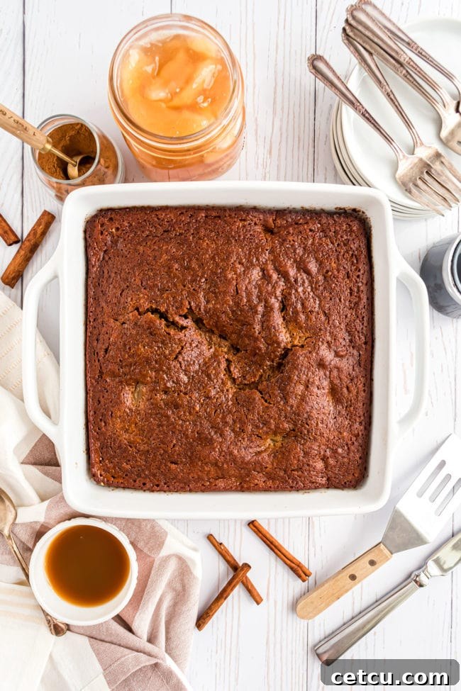 Spiced Apple Gingerbread Cake 7 A perfectly baked apple gingerbread cake cooling in its white square baking dish, with a golden-brown top and edges, fresh from the oven.