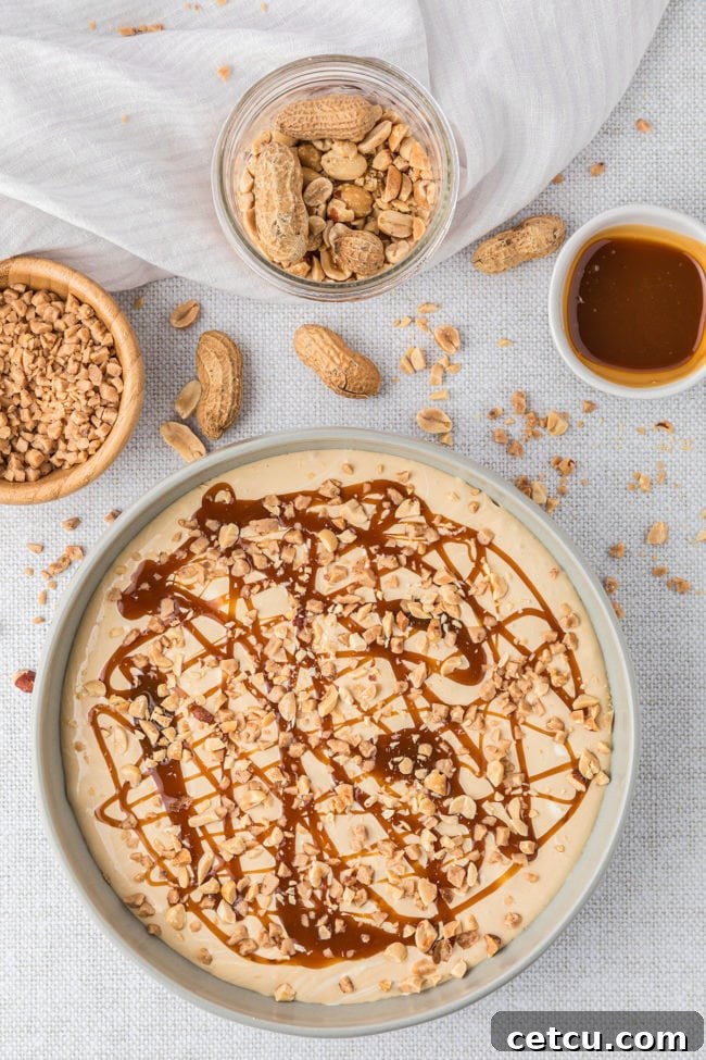 A finished dessert dip generously topped with luscious caramel and a scattering of chopped peanuts, creating a visually appealing and tasty treat.