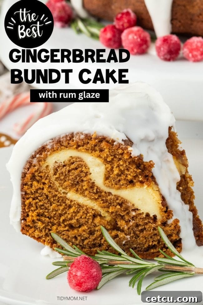 gingerbread cake with sugared cranberries and rosemary on a white plate