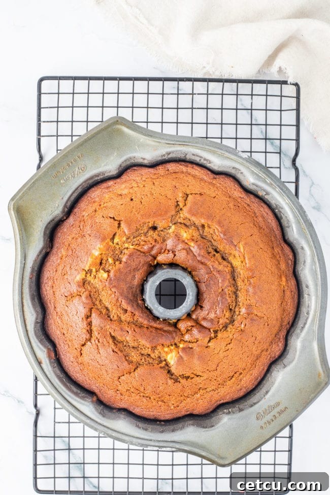 baked cake in bundt pan on a cooling rack