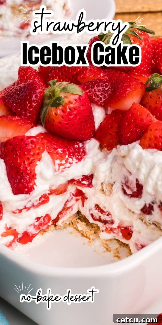 A stunning top-down view of a layered strawberry icebox cake, featuring neat rows of fresh strawberries and creamy whipped layers.