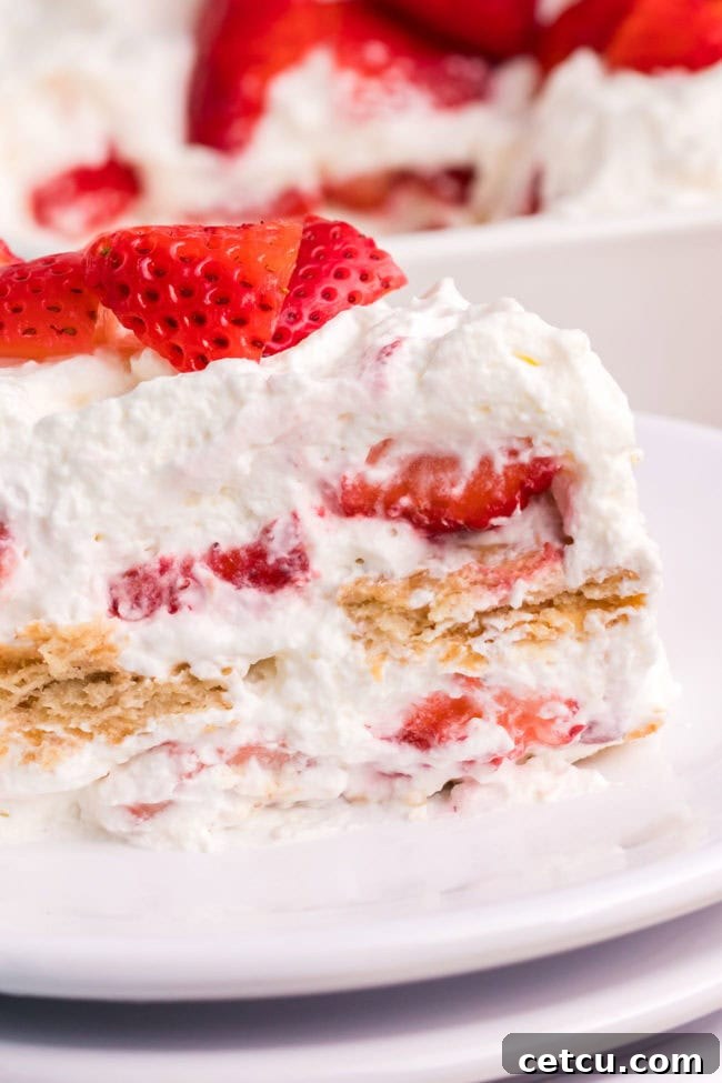 A refreshing icebox cake generously topped with fresh strawberries, ready to be served, highlighting its creamy layers.
