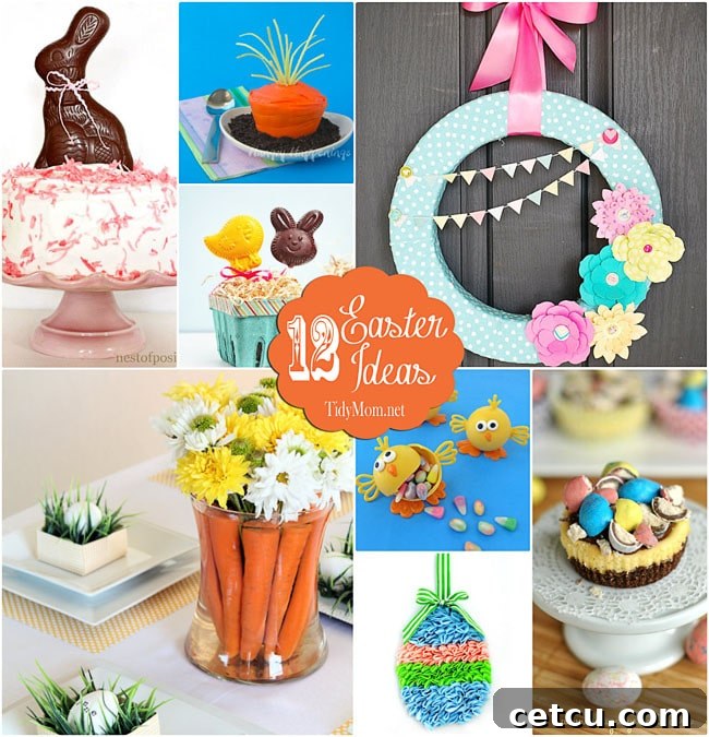 featured 23803