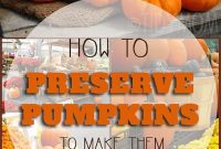 The Art of Pumpkin Preservation