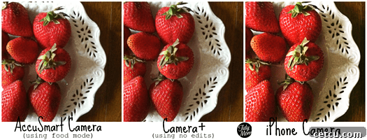 Food Photography with iPhone iPhone food shots with Accu Camera