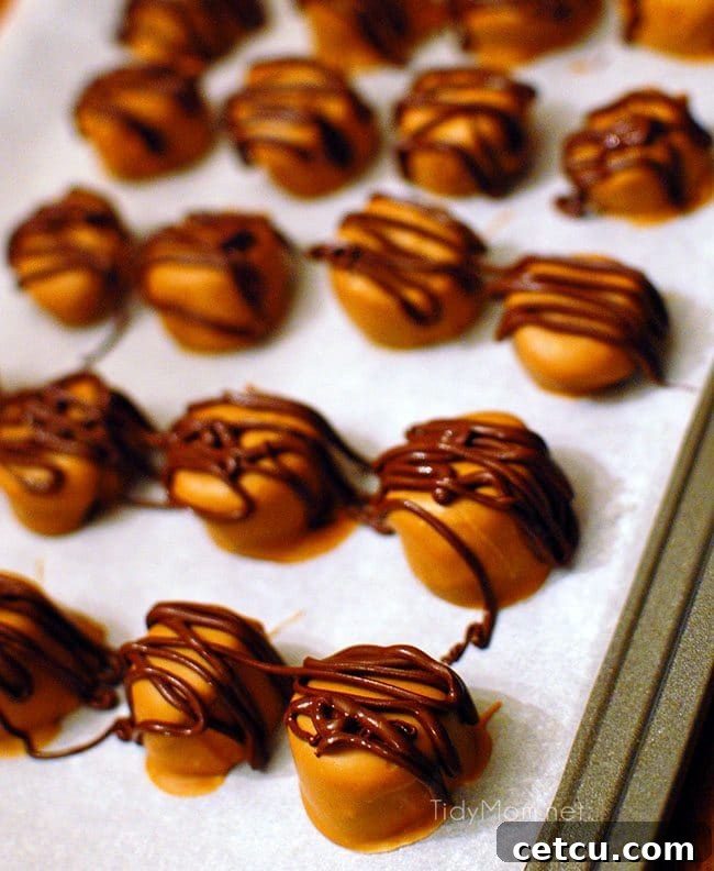 Frozen Peanut Butter Banana Bites spread out on a baking sheet, covered in chocolate drizzle and hardening