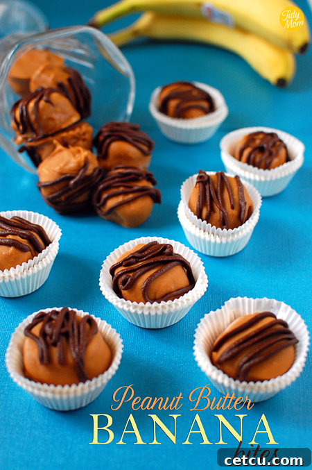 A beautifully presented plate of Frozen Peanut Butter Banana Bites, highlighting their appealing texture and drizzle