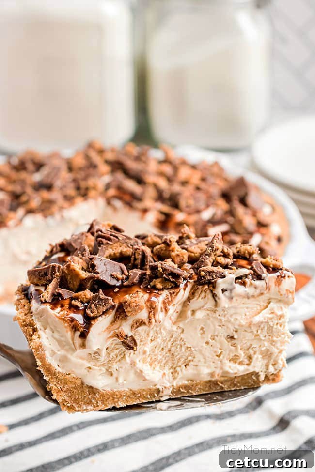 A perfectly sliced piece of Frozen Peanut Butter Pie ready to be enjoyed, showcasing its creamy filling and crunchy crust.