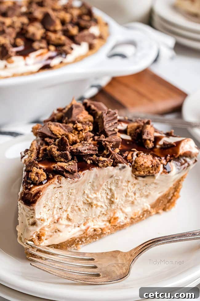 A close-up of a single slice of Frozen Peanut Butter Pie on a plate, garnished with chocolate syrup and peanut butter cup pieces.