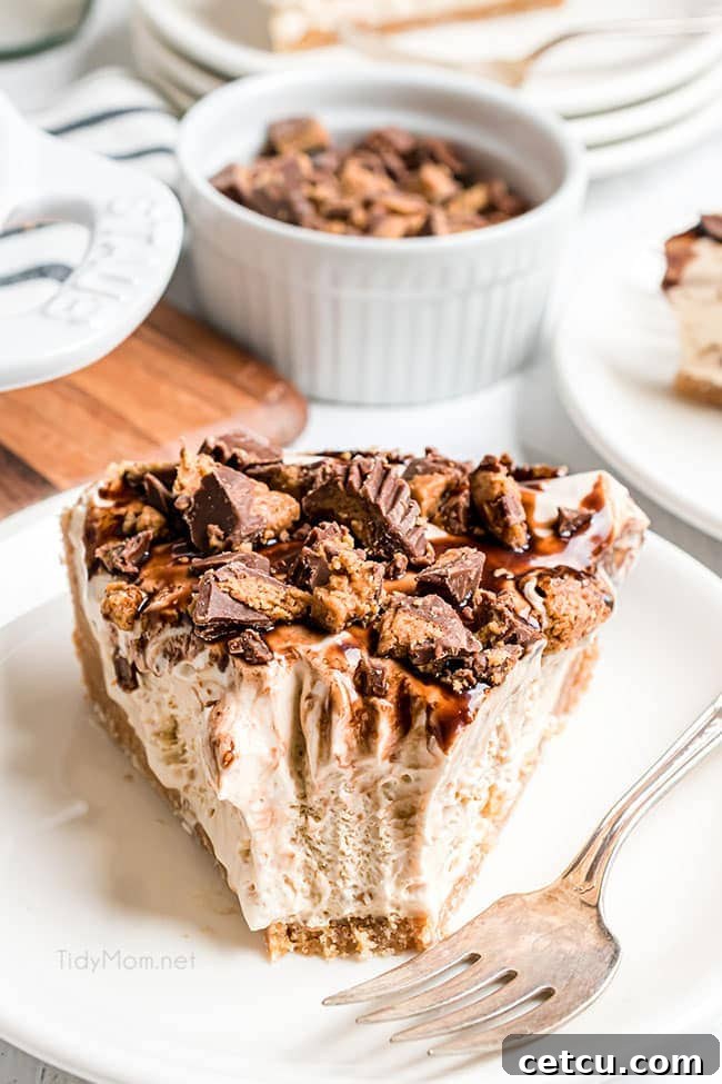 A slice of Frozen Peanut Butter Pie with a bite taken out, showing the creamy texture of the filling.