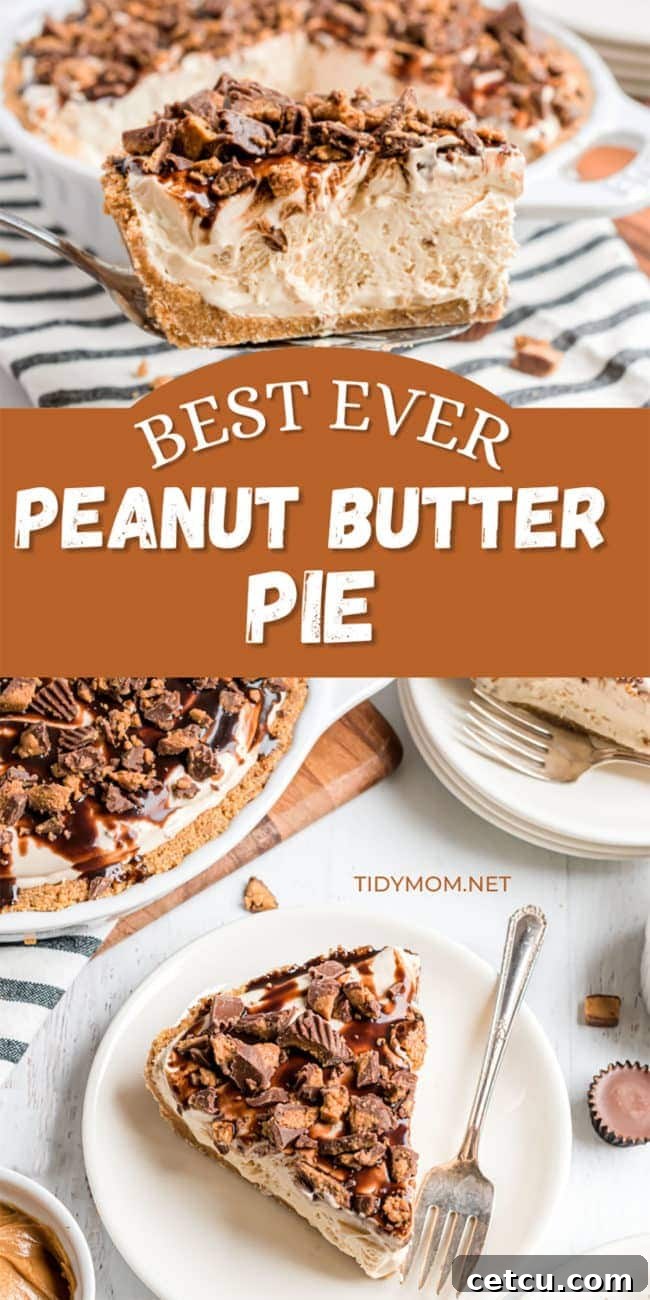 Two Frozen Peanut Butter Pies, one whole and one with a slice removed, on plates, showcasing their irresistible appeal.