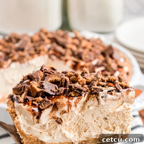 A delightful slice of Frozen Peanut Butter Pie, showcasing its rich, creamy filling and golden-brown crust.