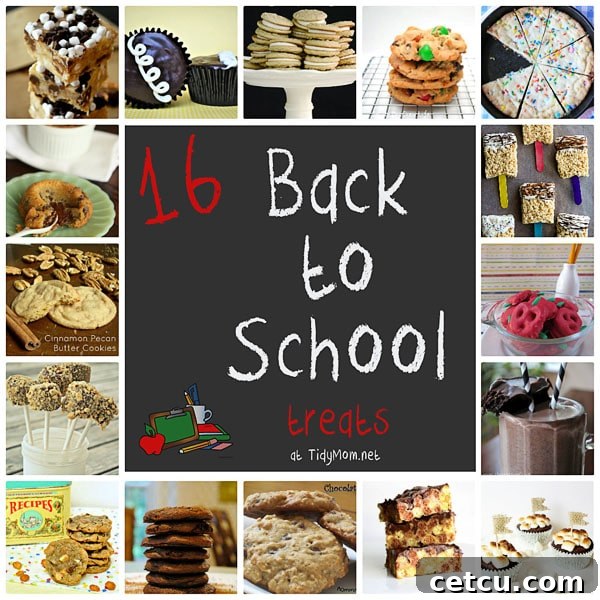16 Back To School Treats at TidyMom.net