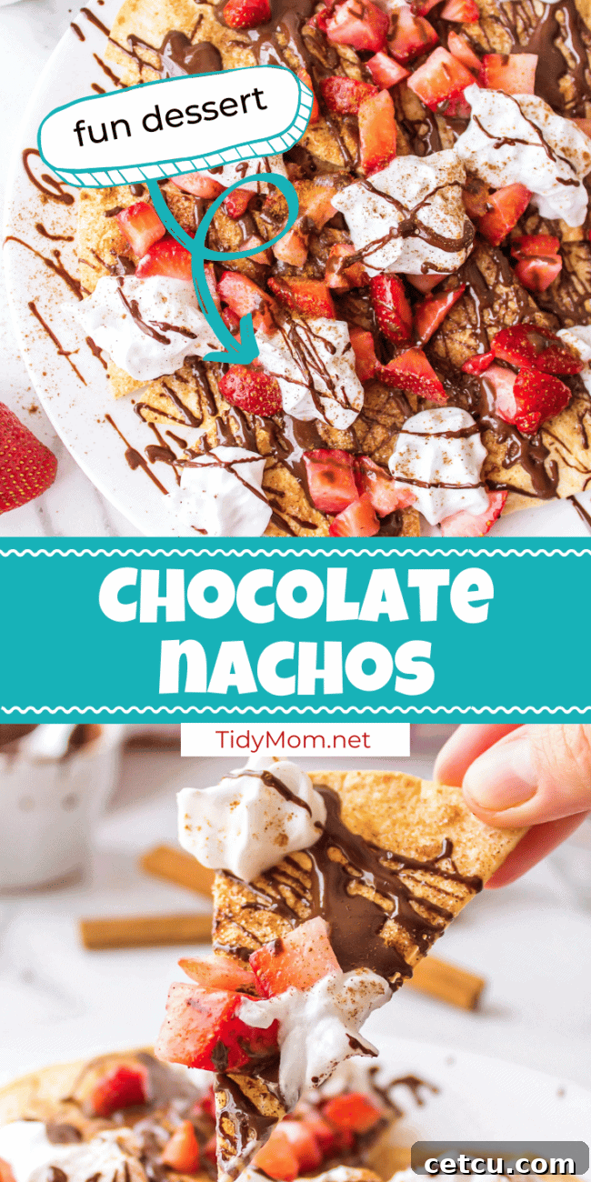 A photo collage showcasing the irresistible Strawberry and Chocolate Dessert Nachos with various angles and close-ups, ideal for sharing.