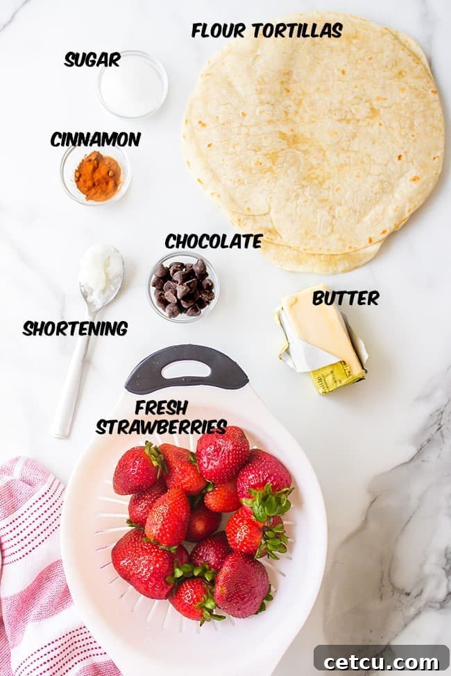 Fresh ingredients for making dessert nachos, including strawberries, chocolate chips, butter, flour tortillas, and cinnamon sugar.