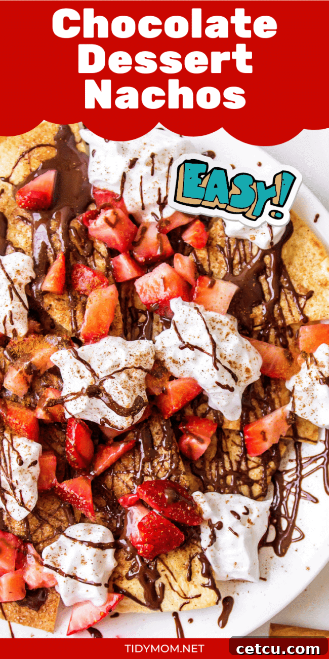 An appetizing close-up of Strawberry and Chocolate Dessert Nachos with homemade cinnamon tortilla chips, featuring a vibrant array of colors and textures.