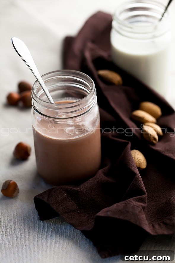 Homemade chocolate hazelnut milk and almond milk