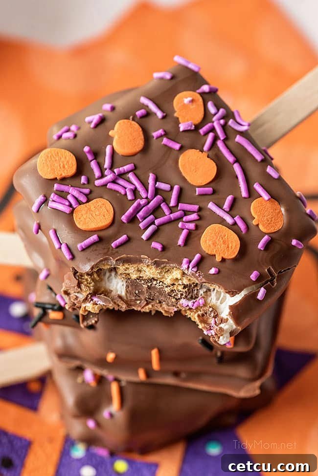 A Halloween S'mores Pop with a bite taken out, revealing the gooey marshmallow and melted chocolate inside.