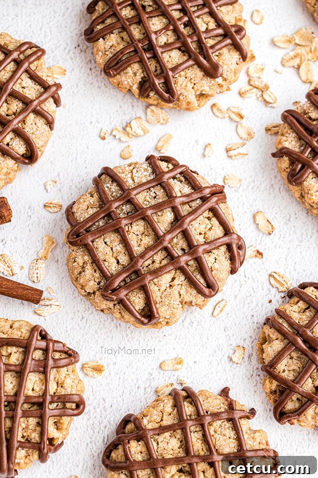 Close-up overhead shot of several golden oatmeal cookies with neat chocolate drizzles arranged on a light surface.