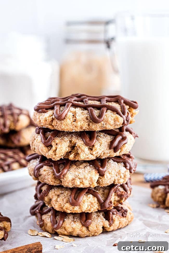 A perfectly stacked pile of eggless oatmeal cookies, each beautifully drizzled with rich chocolate, inviting a craving.