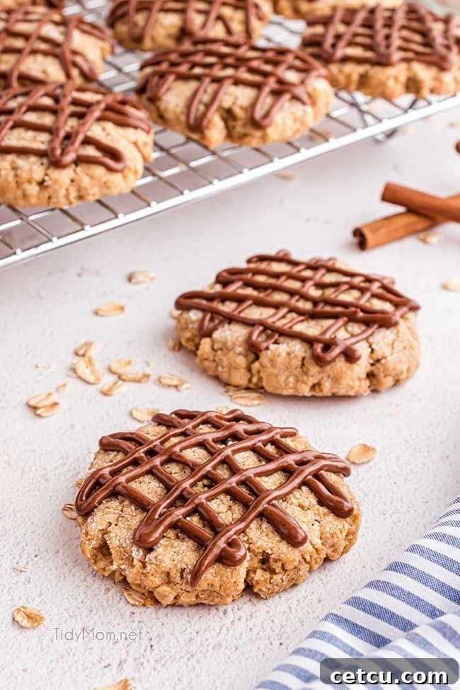 An inviting scene of eggless oatmeal cookies with chocolate drizzle on a rustic counter, accompanied by a blue striped towel.