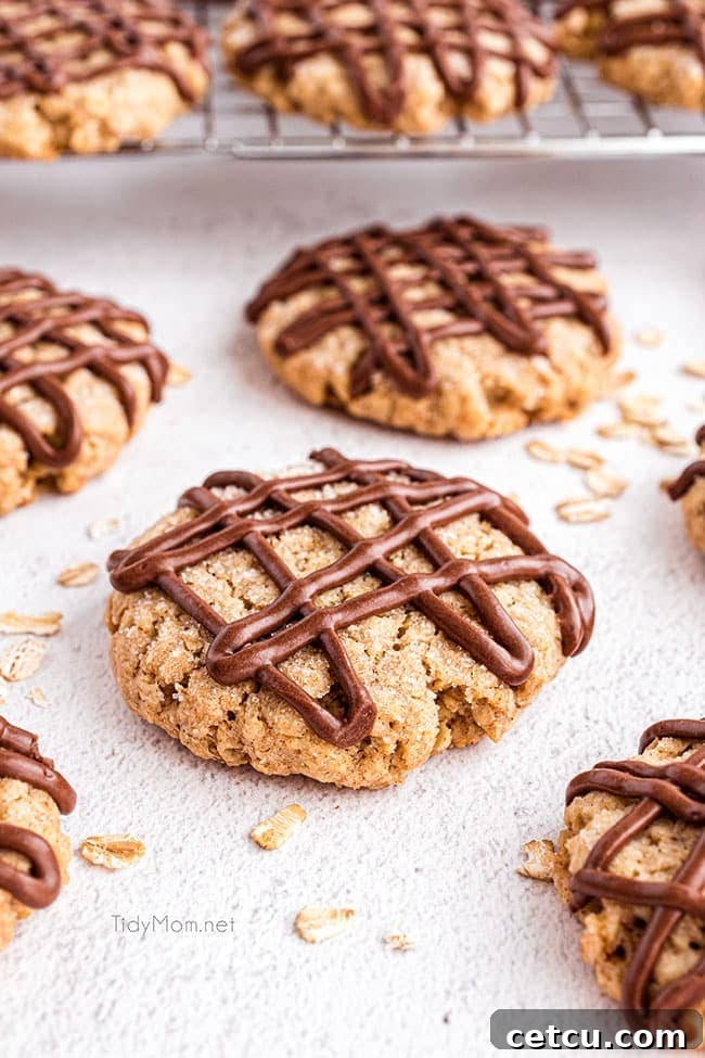 A close-up shot of eggless oatmeal cookies with chocolate drizzle artfully arranged on a counter, highlighting their texture.