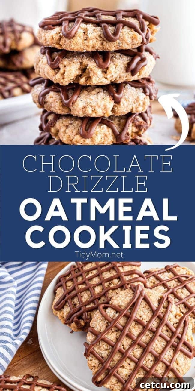 Close-up of golden brown oatmeal cookies with delicate chocolate drizzles, arranged on plates and stacked neatly.