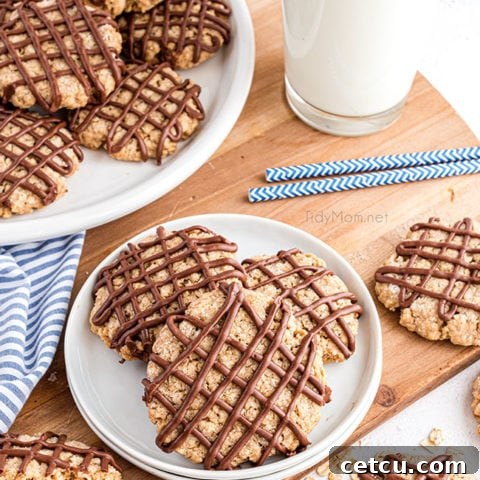 Overhead shot of oatmeal cookies with chocolate drizzle on a plate, ready to serve.