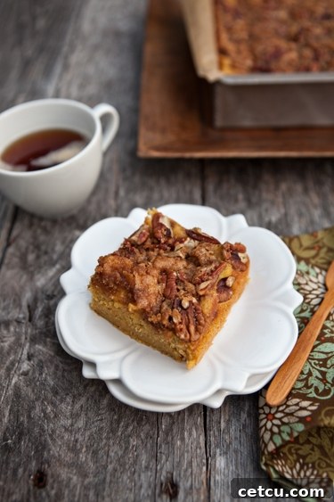pumpkin-pie-coffee-cake Delicious Pumpkin Pie Coffee Cake with Crumbled Pecan Topping