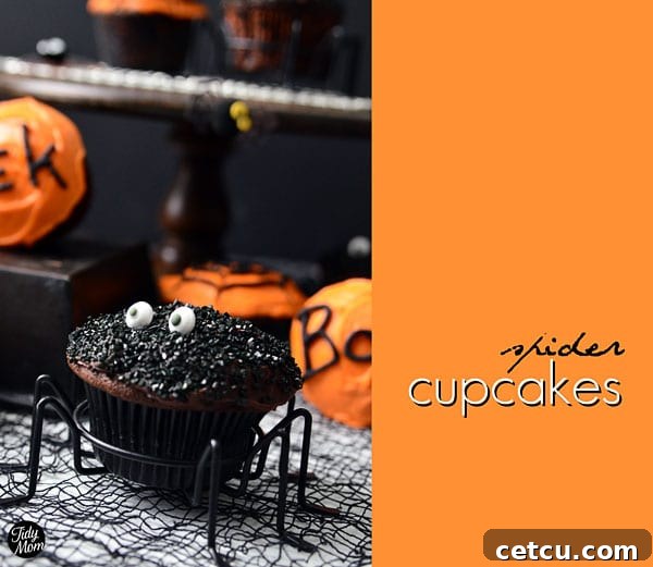 Delicious and spooky spider cupcakes, a perfect treat for Halloween celebrations.