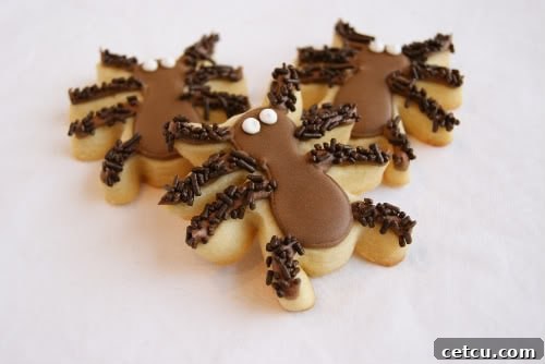 Creepy and fun hairy spider cookies, great for Halloween parties.