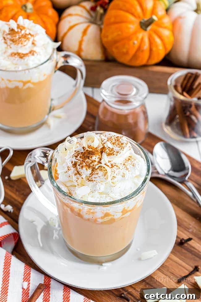 Two glass mugs overflowing with creamy pumpkin spice hot chocolate, topped with generous swirls of whipped cream and garnished with chocolate shavings.