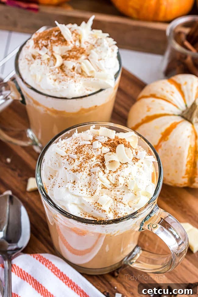 Two aesthetically pleasing glass mugs filled with steaming pumpkin spice hot chocolate, ready to be enjoyed on a cool autumn day.