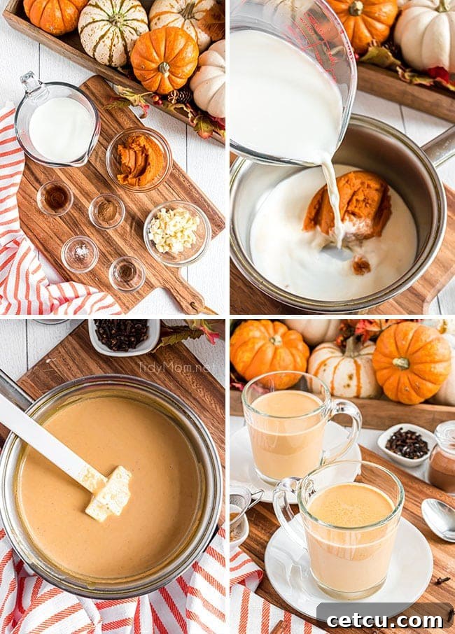 A photo collage illustrating the step-by-step process of making pumpkin hot chocolate, showcasing ingredients, simmering, and final pouring.