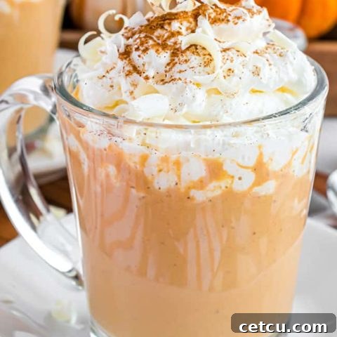 A glass mug of pumpkin spice hot chocolate, beautifully garnished with whipped cream, symbolizing comfort and the fall season.
