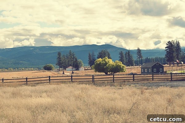 Paws up Montana Paws Up Resort, Montana: A Serene Escape