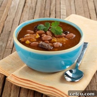 Bush’s Bean Inspired & Pinto Steak and Dumpling Soup recipe