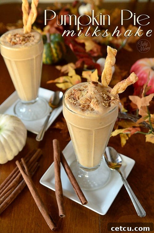 Indulge in the festive flavors with this Pumpkin Pie Milkshake recipe, complete with delicious pie crust straws, from TidyMom.net