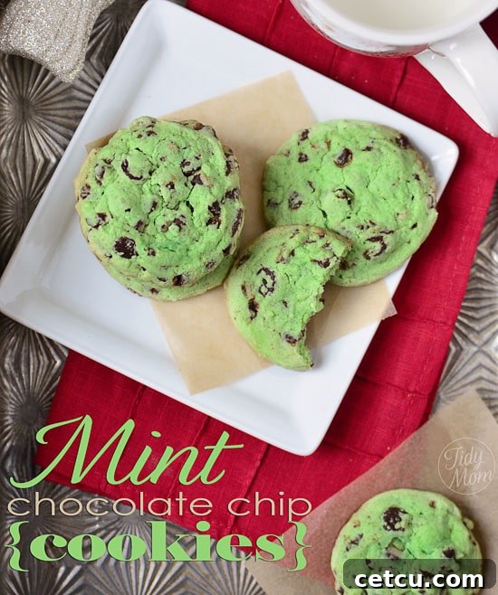 Mint Chocolate Chip Cookies: The perfect blend of Andes mints and rich dark chocolate for an easy, delicious treat. Find the full recipe at TidyMom.net #cookies #cookierecipe #mint #chocolatechip Delicious Mint Chocolate Chip Cookies adorned with Andes mints and dark chocolate